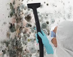 Mold Documentation for Insurance Claims in Coronita, CA